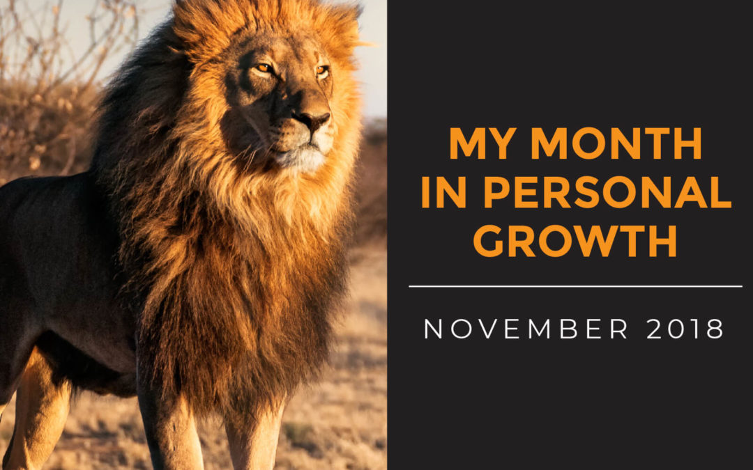 My Month in Personal Growth – November 2018
