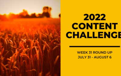 2022 Content Round Up Week 31