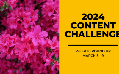 2024 Content Round Up Week 10