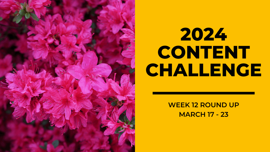 2024 Content Round Up Week 12