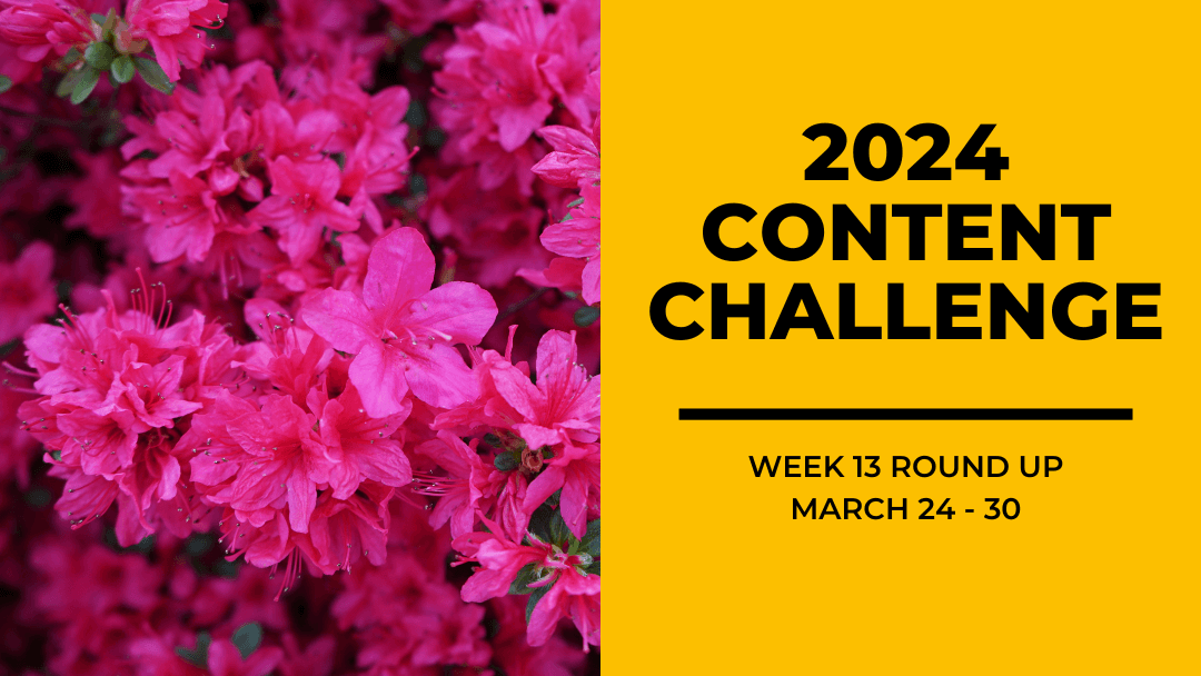2024 Content Round Up Week 13