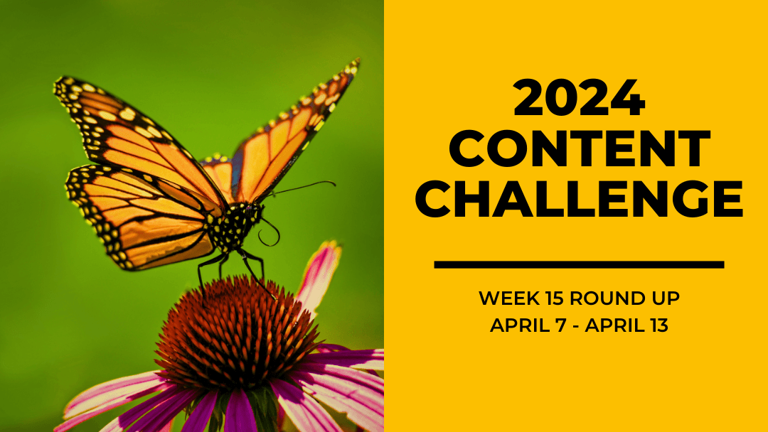 2024 Content Round Up Week 15