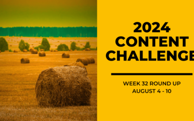 2024 Content Round Up Week 32