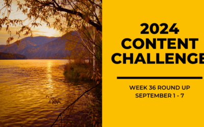 2024 Content Round Up Week 36