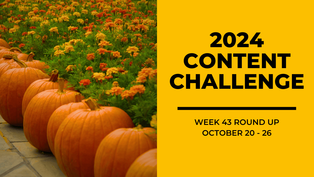 2024 Content Round Up Week 43